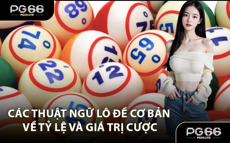 Thuật Ngữ Lô Đề - Khái Niệm Chơi Lô Cơ Bản Cho Bet Thủ