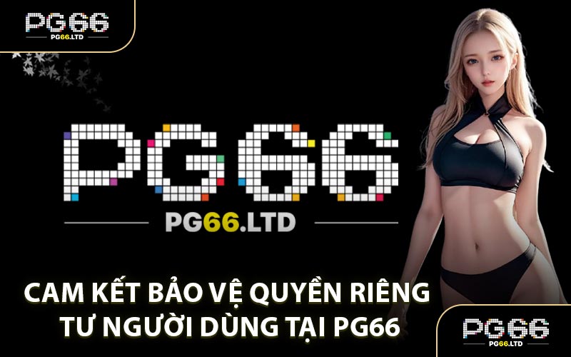 Chính Sách Bảo Mật PG66 - Sử Dụng Nhiều Lớp Bảo Mật
