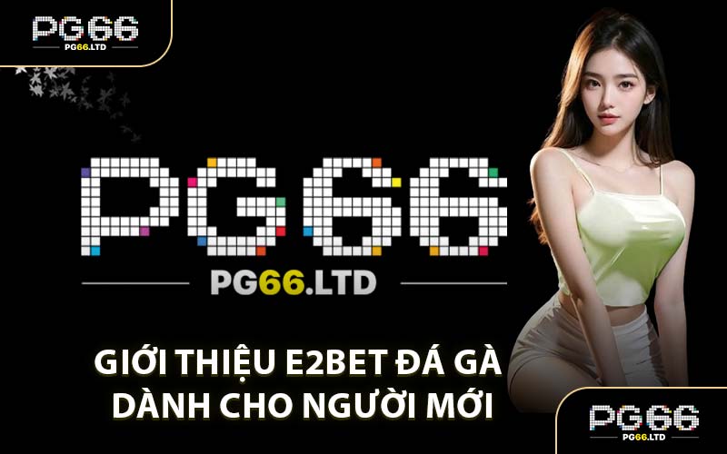 E2Bet Đá Gà - Sân Chơi Chi Thưởng Hot Nhất 2026