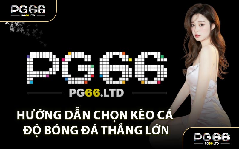 Kinh Nghiệm Cá Độ Bóng Đá - Kỹ Năng Chơi Cá Cược Siêu Chuẩn