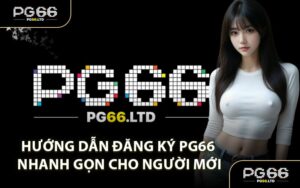 HƯỚNG DẪN - PG66