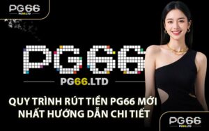 HƯỚNG DẪN - PG66