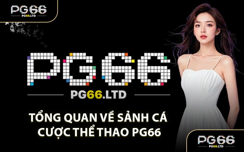 Thể Thao PG66 - Soi Kèo Nhà Cái Mỗi Trận Chuẩn Xác