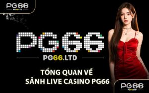 CASINO - PG66