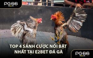 TIN TỨC - PG66