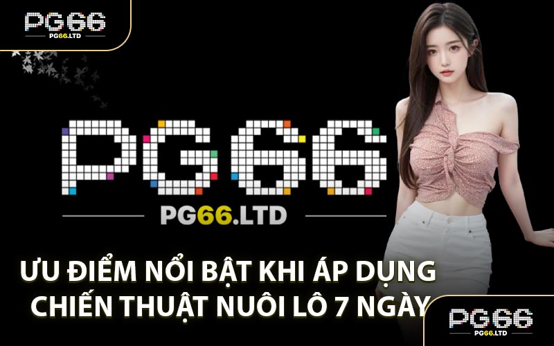 Nuôi Lô 7 Ngày - Kỹ Thuật Săn Số Đề Siêu Chuẩn