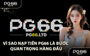 HƯỚNG DẪN - PG66