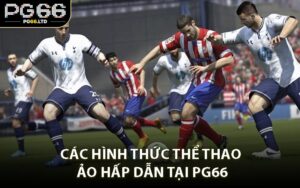 TIN TỨC - PG66