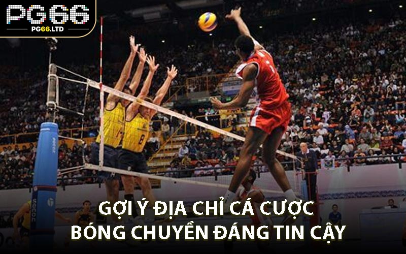 Cá Cược Bóng Chuyền - Trải Nghiệm Nhiều Kèo Cược Hấp Dẫn