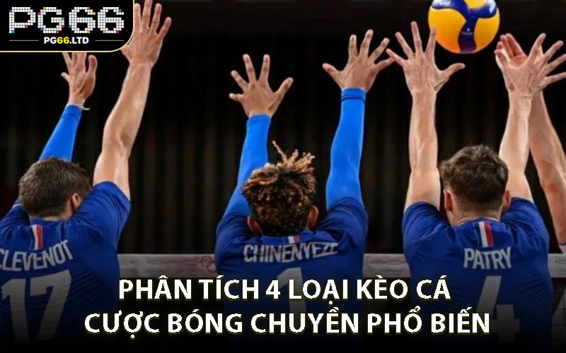 Cá Cược Bóng Chuyền - Trải Nghiệm Nhiều Kèo Cược Hấp Dẫn